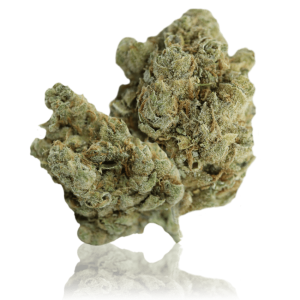 AMNESIA HAZE – 5g – Extracta