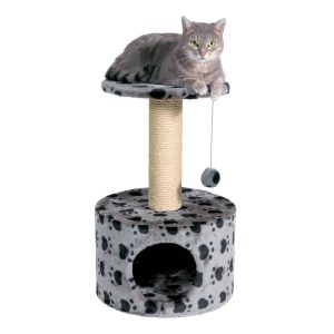Tiragraffi Toledo con Cuccia Trixie